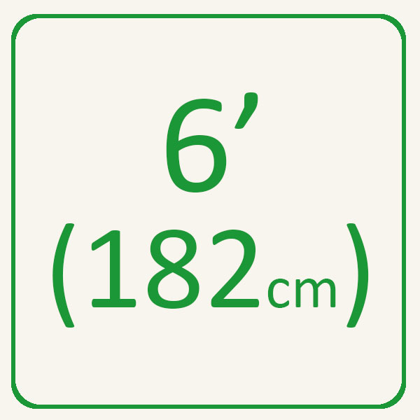 6'
