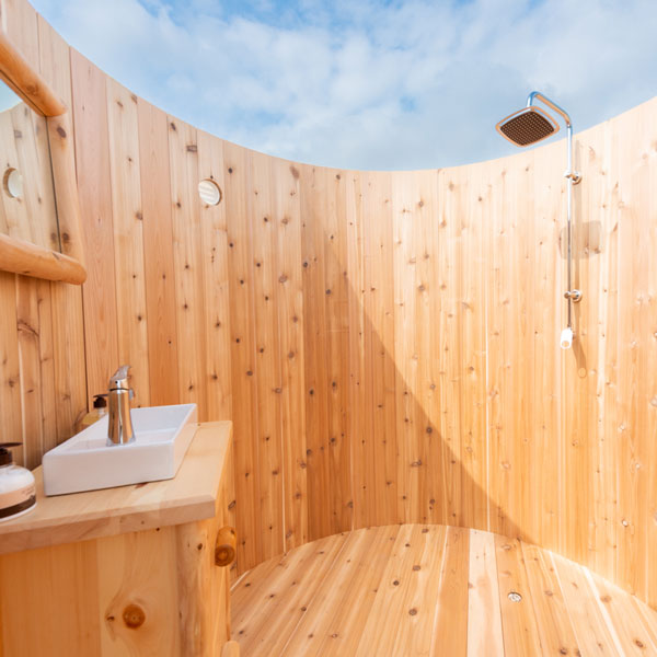 Skylight Washroom and Shower Combo photo 11