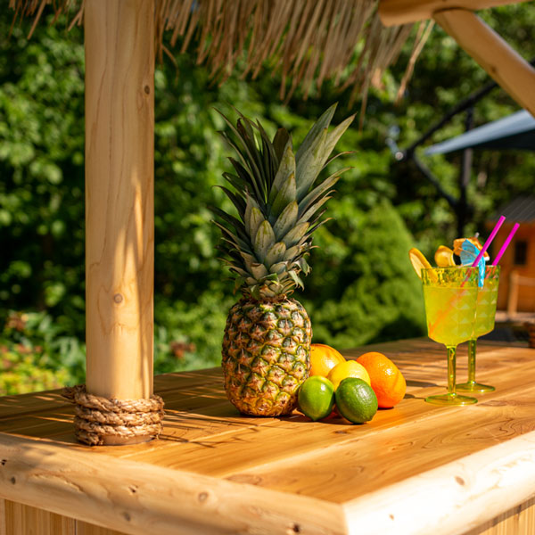 Southern Fantasy Tiki Bar photo 3